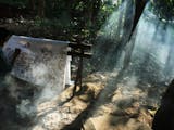 Gambar sampul Yogyakarta Menawarkan Pengalaman Tak Terlupakan dengan 5 Desa Wisata