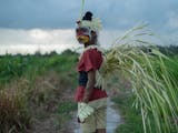 Gambar sampul Tiga Film Indonesia di Jendela Asia Festival Film Busan 2017