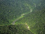 Gambar sampul 2.778 Hektar Hutan Leuser Telah Direstorasi