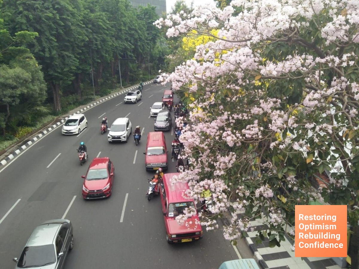 Walikota Risma akan menambah Bunga  Sakura  di  Surabaya  