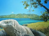 Gambar sampul Mitos Pulau Komodo, Pulau Eksotis Nan Memikat