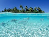 Gambar sampul Kepulauan Selayar Resmi Menjadi Kawasan Ekonomi Khusus (KEK) Pariwisata