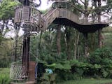 Gambar sampul Tanaman ‘Berbicara’ di Kebun Raya Bedugul Bali