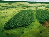 Gambar sampul Bagaimana Hutan Indonesia Sebagai Paru-Paru Dunia di Masa Depan ?