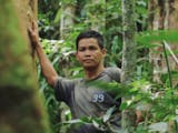 Gambar sampul Berdayakan Desa Tanpa Rusak Hutan, Pria Kapuas Hulu Raih Penghargaan Internasional