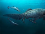 Gambar sampul Lebih Tua dari Dinosaurus, Ikan ini Ditemukan di Perairan Indonesia