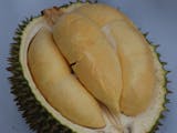 Gambar sampul Durian Terong dari Kalbar, Sudah Pernah Coba ?