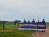 Gambar sampul Mengawali Tahun 2017,Mahasiswa Fakultas Kehutanan UGM Berhasil Melakukan Ekspedisi Di Taman Nasional Way Kambas