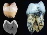 Gambar sampul Penemuan Ini Buktikan Leluhur Homo Sapiens Telah ada di Sumatra 63.000 Tahun yang lalu