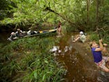 Gambar sampul Menjelajah “Amazon” nya Indonesia
