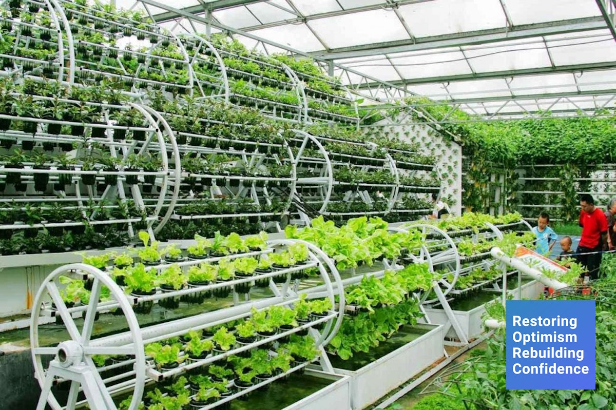 Технологии выращивания растений в регионе. КФХ Аквапоника. Вертикальные фермы. Новые технологии в выращивании овощей. Современные агротехнологии выращивания.