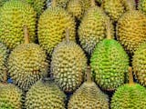 Gambar sampul Provinsi Manakah Penghasil Durian Terbesar Di Indonesia?
