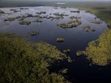 Gambar sampul Ini Dia 7 Situs Ramsar di Indonesia Yang Kamu Perlu Tahu