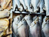 Gambar sampul Obat Luka Bakar Dari Kulit Ikan Karya Universitas Negeri Yogyakarta