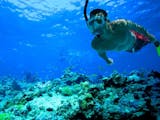 Gambar sampul Raja Ampat, Pantai Terindah di Indonesia untuk Snorkeling
