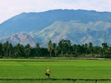 Gambar sampul Indonesia Ajari Myanmar Mengolah Sayuran Berdaun