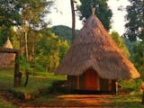 Gambar sampul Mempelajari Sejarah dan Kebudayaan Papua di Museum Loka Budaya
