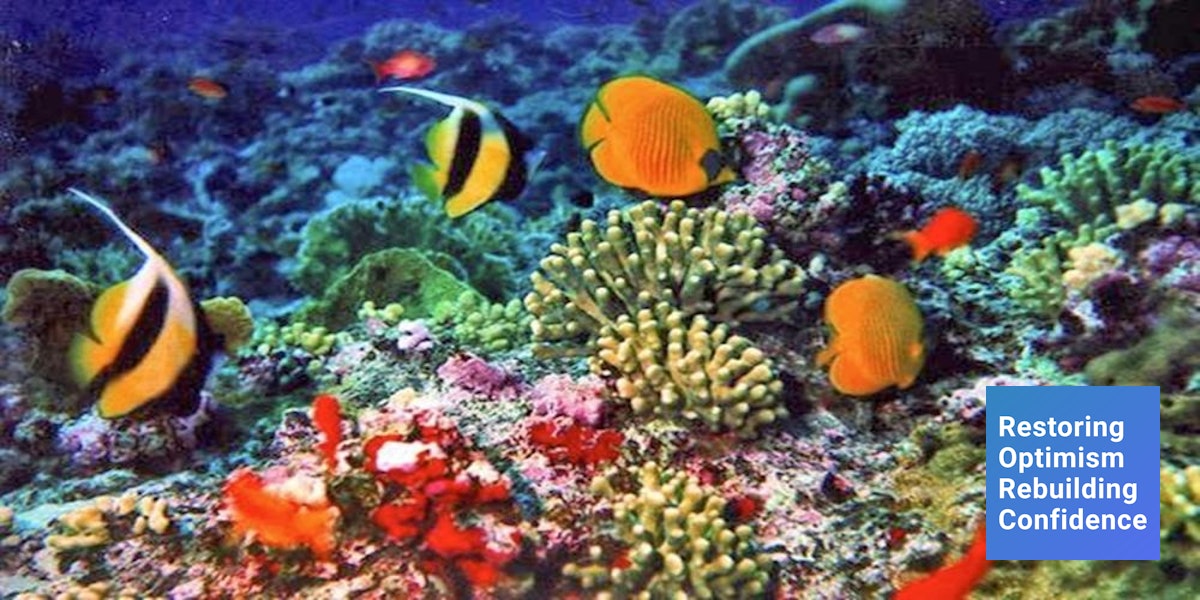 Dilihat dari jenisnya terumbu karang indonesia merupakan salah satu yang terkaya di dunia