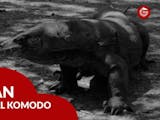 Gambar sampul Komodo Dragon, Kekayaan Purbakala Nusantara