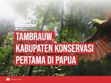 Gambar sampul Mengenal Wilayah Tambrauw, Hutan yang Sangat Dicintai oleh Masyarakat Setempat