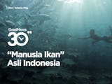 Gambar sampul Suku Asli Indonesia Sang Manusia Ikan