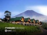 Gambar sampul Wisata Ketinggian Tersembunyi di Pagar Alam Sumatra Selatan